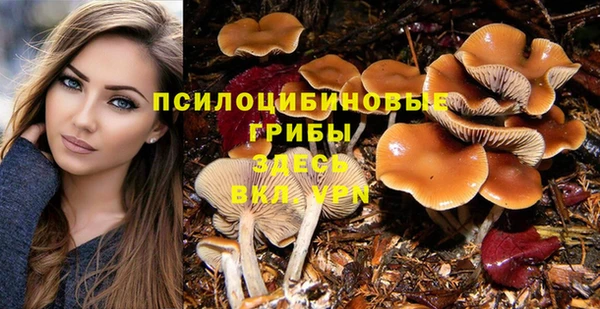 мет Аркадак