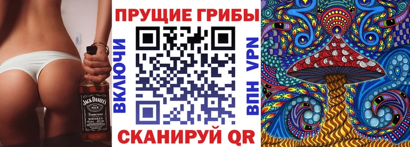 Псилоцибиновые грибы Magic Shrooms  как найти   Нея 